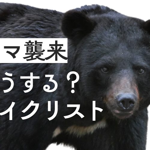 自転車なら逃げきれる？サイクリストがクマに出会ってしまったら…対策